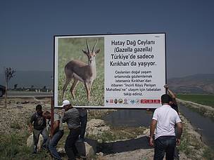 Hatay dağ ceylanı bilgilendirme tabelası / ©: Türkiye'nin Canı. TTKD / ©: Türkiye'nin Canı. TTKD